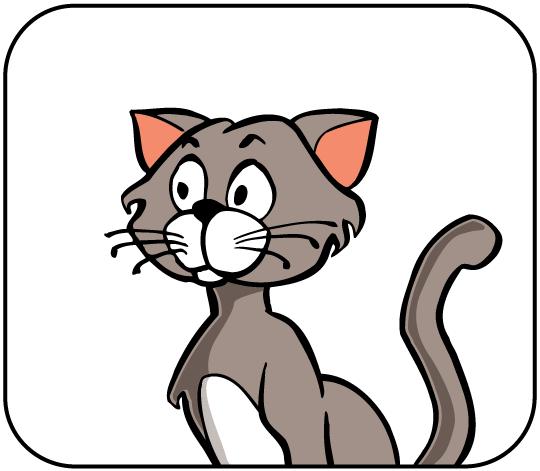 KATZE DIE